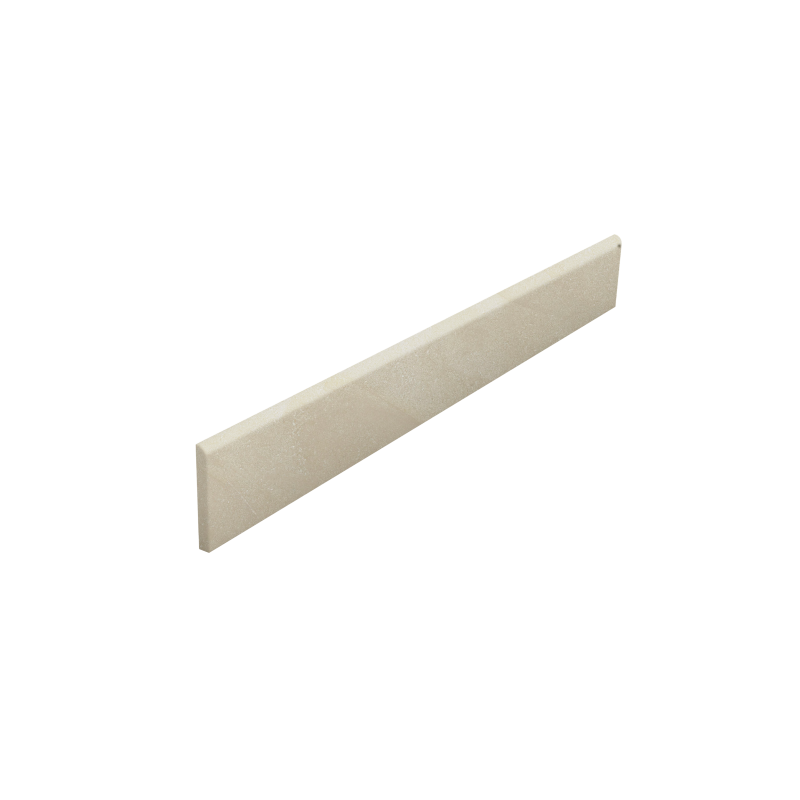 Bullnose Seashell