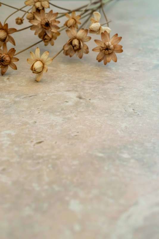 Beigefarbene Fliese in Naturstein-Optik, dekoriert mit getrockneten Blüten.